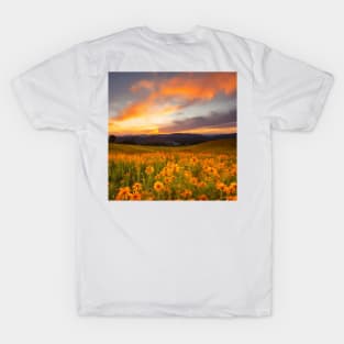 Beautiful landscap flowers and sunset T-Shirt